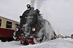 3947Harz_15_12_-21_12_2010_372.JPG