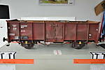 3947Magnus0613_002.JPG