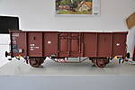3947Magnus0613_004.JPG