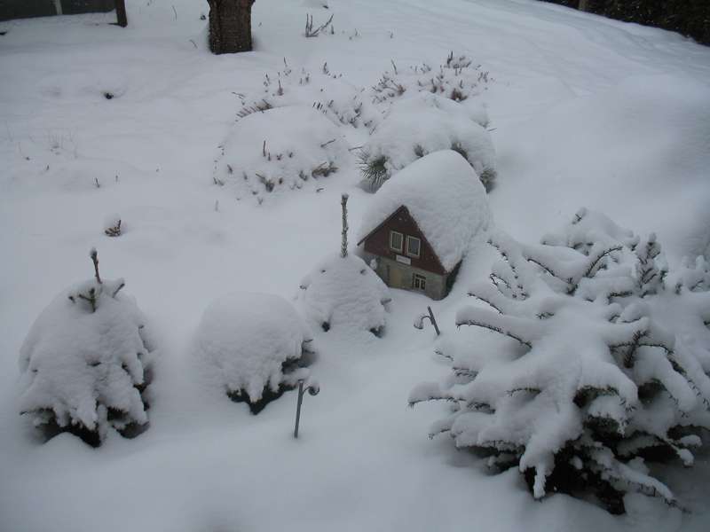 Bild 24