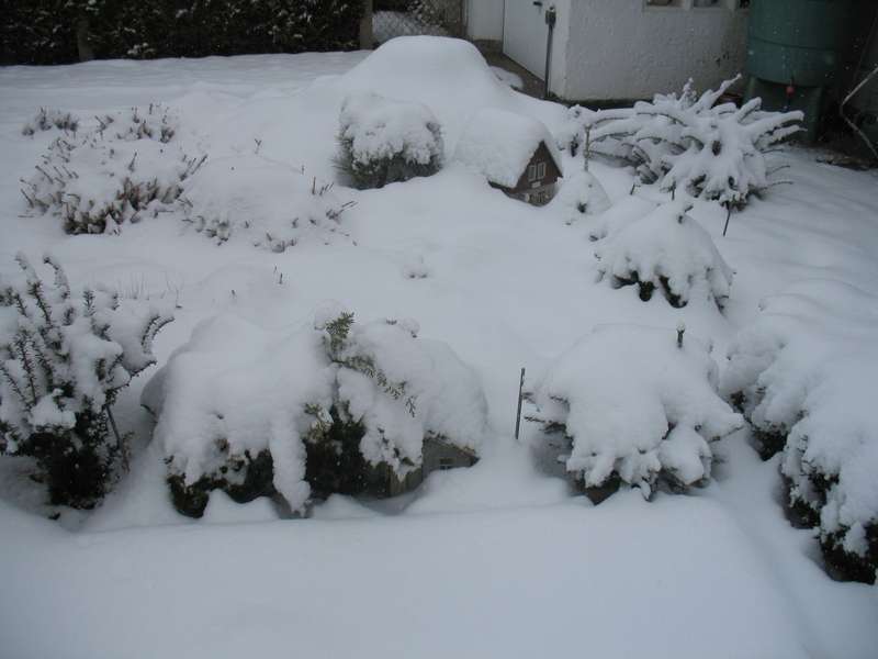 Bild 25