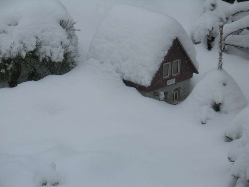 Bild 28