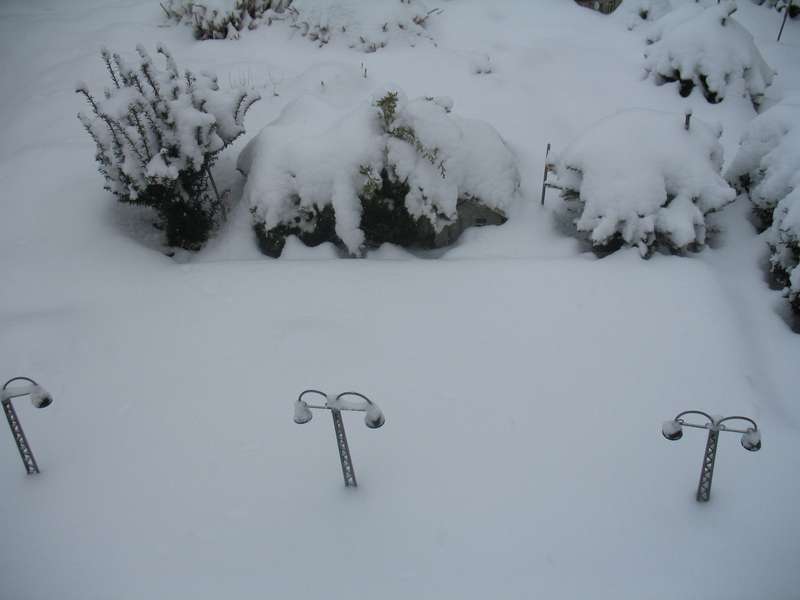 Bild 29