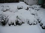 69301_02_Winter_02.jpg