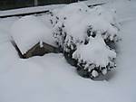 69301_02_Winter_04.jpg