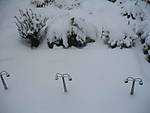 69301_02_Winter_06.jpg