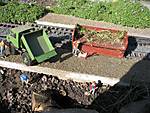 6932007_03_11_Fr_hjahrsputz010.jpg