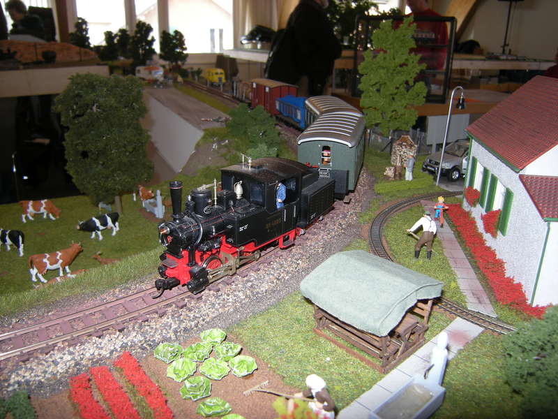 0e Dampfzug