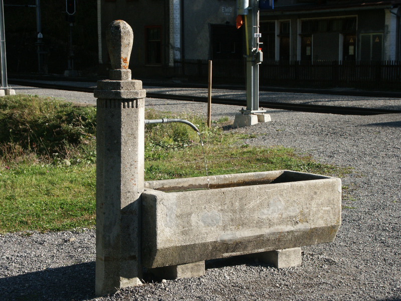 Preda_036