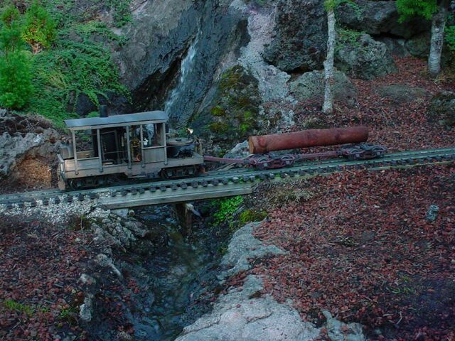logging