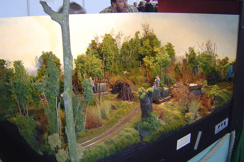 GN15_Sh_09_Moorbahn_028