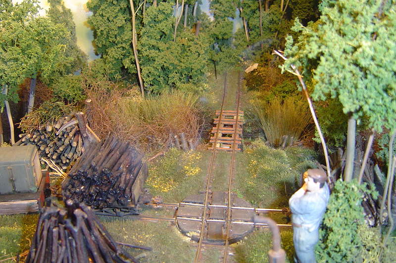 GN15_Sh_09_Moorbahn_032