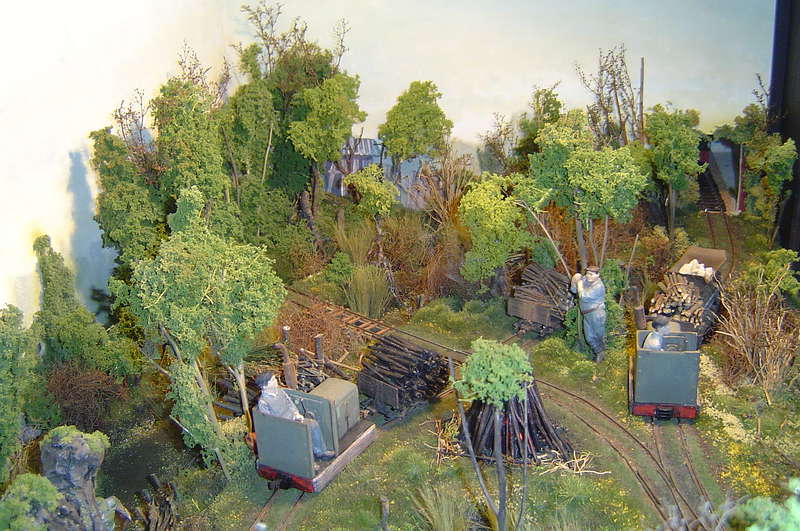 GN15_Sh_09_Moorbahn_033