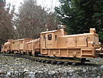 4109Gartenbahn_2009_003.jpg