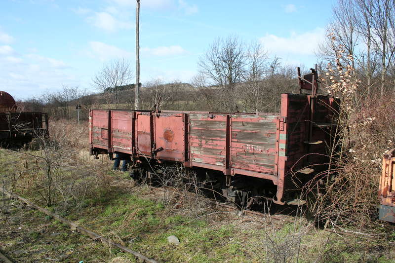 Bild_330