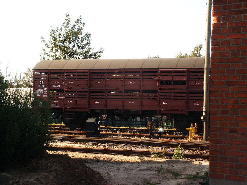 Kleinviehwagen Impressionen