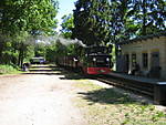 4158pollo_18_05_07_208.jpg