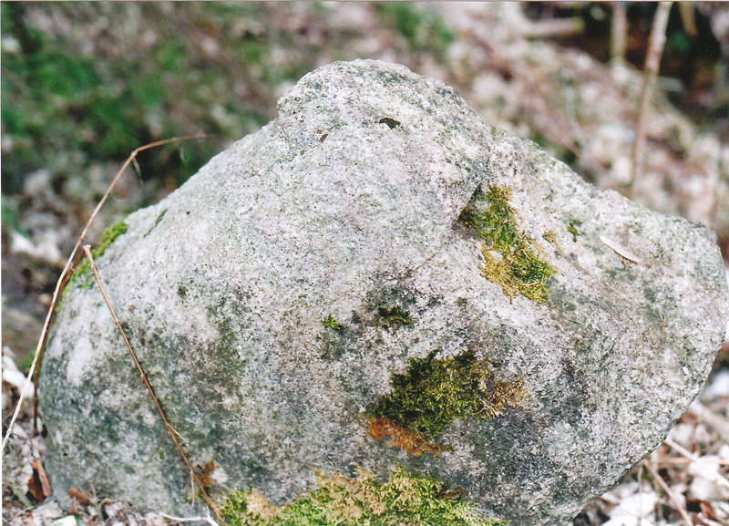 Brockengranit1