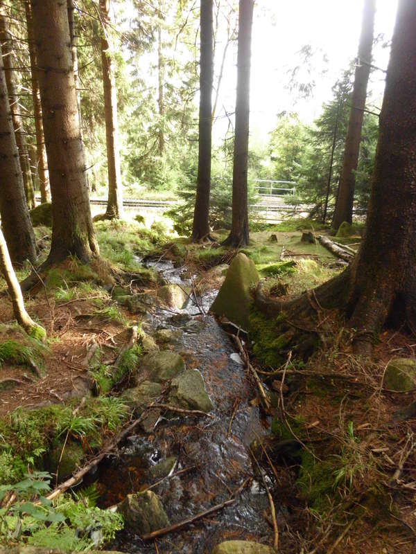 Bachlauf1
