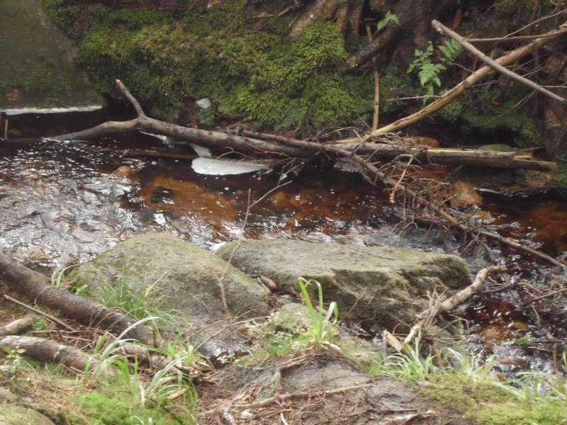 Bachlauf3