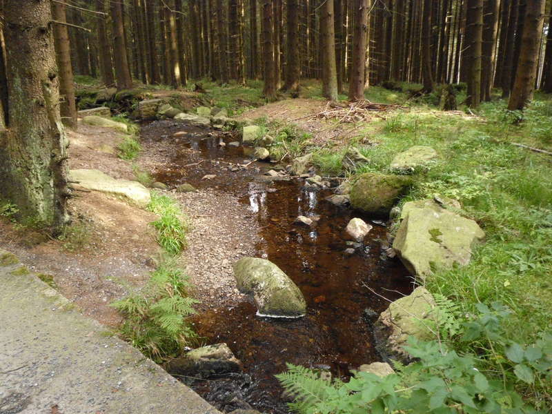 Wormke2