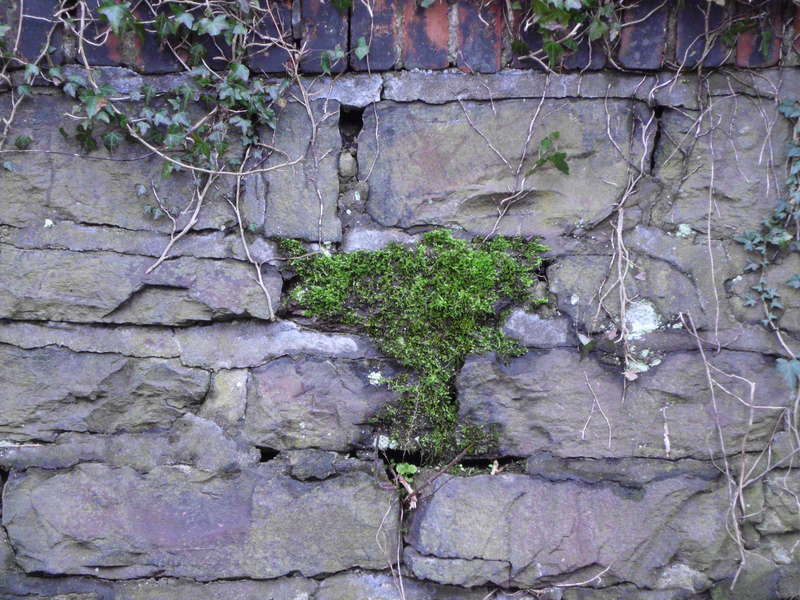 Mauer1