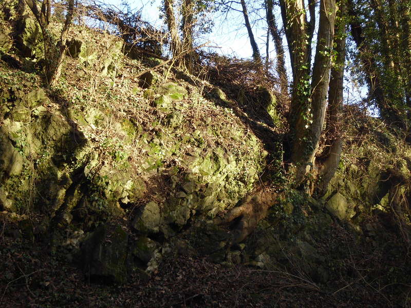 Steinmauern1