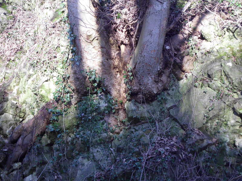Steinmauern4