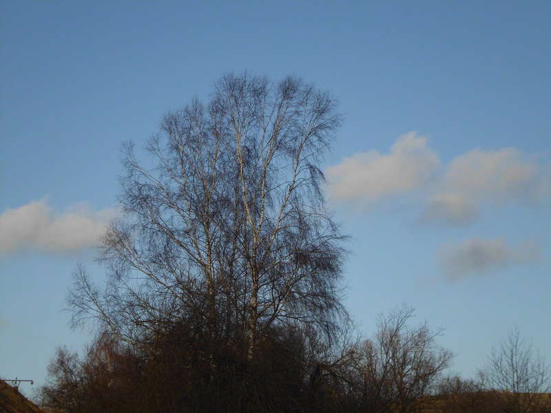 Wolken10