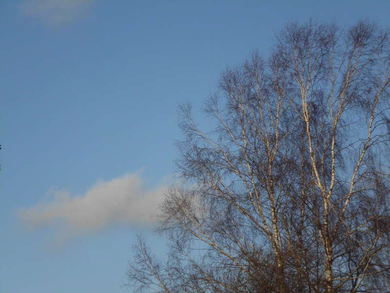 Wolken11