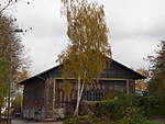 1116Birke1.JPG