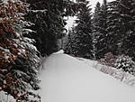 1116Fr_hling_2015.JPG