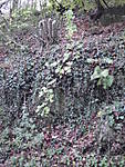 1116Mauer6.JPG