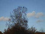 1116Wolken10.JPG