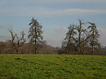 1116wolken15.JPG