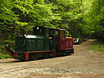 227swb10.jpg