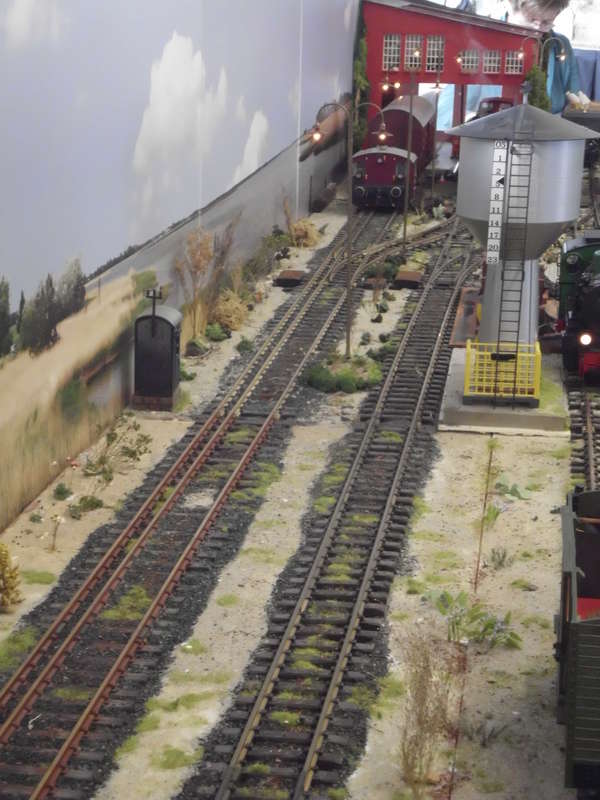 wsw1406