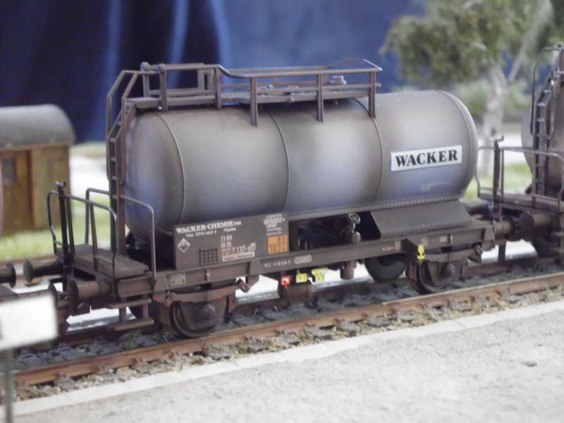 wsw1446