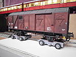 1116DSCI0082.JPG