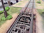 1116DSCI0129.JPG