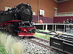 1116DSCI0131.JPG