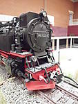 1116DSCI0133.JPG