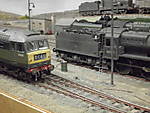 1116DSCI5755.JPG