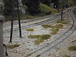 1116DSCI5761.JPG