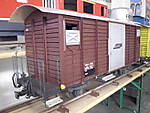 1116DSCI5906.JPG