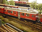 1116DSCI9164.JPG