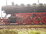 1116DSCI9182.JPG
