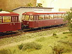 1116DSCI9202.JPG