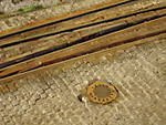 1116DSCI9216.JPG