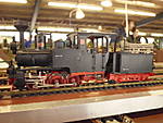 1116DSCI9240.JPG